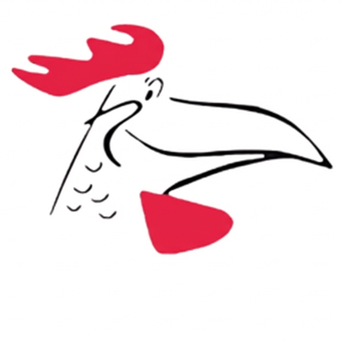 Chikin